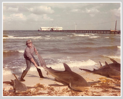 Shark Fishing with Bill Goldschmitt