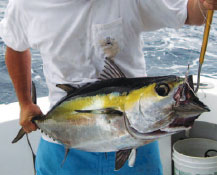 Keys Fishing in Winter
