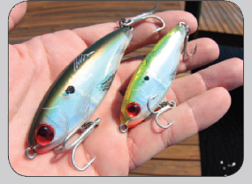  Bay Lures