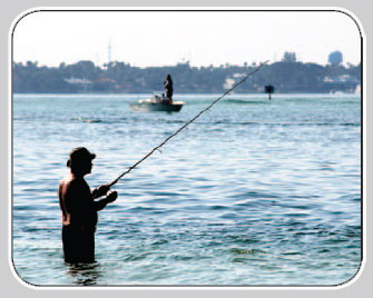 Fishing Honeymoon Island 