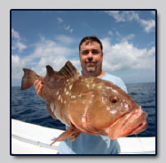 Gulf Coast Grouper