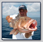 Gulf Coast Grouper